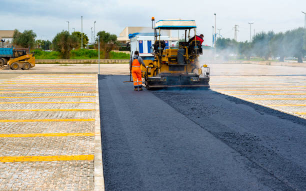 Best Best Driveway Pavers  in Melrose, MN