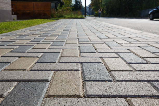 Best Professional Driveway Pavers  in Melrose, MN